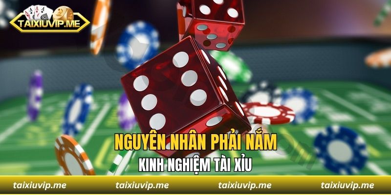 Nguyên nhân phải nắm kinh nghiệm tài xỉu